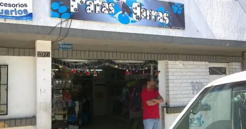 PATAS Y GARRAS CLINICA VETERINARIA PATAS Y GARRAS CLINICA VETERINARIA